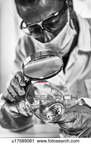 Forensics expert examining crime scene evidence View Large Photo Image Stock Image - Forensics expert examining crime scene evidence. Fotosearch