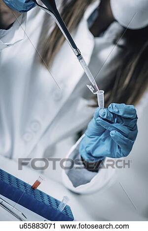 Stock Image - Forensics expert examining crime scene evidence. Fotosearch