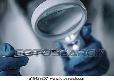Stock Photo - Forensics expert examining crime scene evidence. Fotosearch