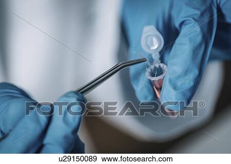 Stock Photo - Forensics expert examining crime scene evidence. Fotosearch
