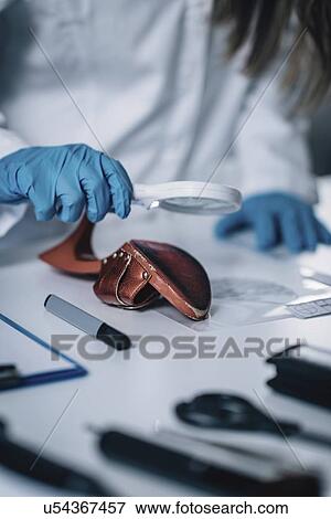 Forensics expert examining crime scene evidence View Large Photo Image Stock Photo - Forensics expert examining crime scene evidence. Fotosearch