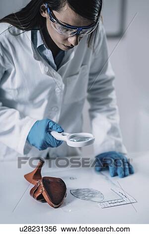 Stock Photograph - Forensics expert examining crime scene evidence. Fotosearch