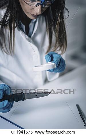 Forensics expert examining crime scene evidence View Large Photo Image Stock Photography - Forensics expert examining crime scene evidence. Fotosearch