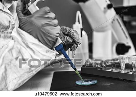 Stock Image - Forensics expert examining evidence. Fotosearch