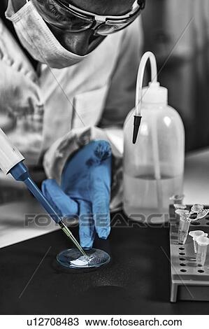 Stock Image - Forensics expert examining evidence. Fotosearch