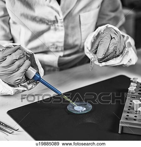 Stock Photo - Forensics expert examining evidence. Fotosearch