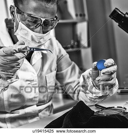 Stock Photography - Forensics expert examining evidence. Fotosearch