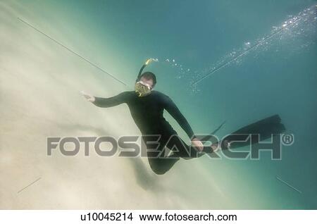 Picture - Free diver. Fotosearch
