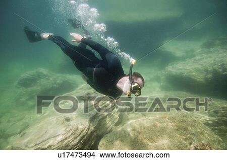 Picture - Free diver. Fotosearch