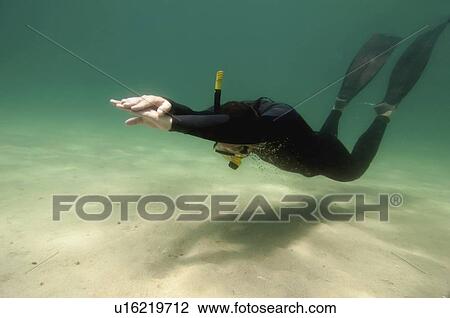 Stock Image - Free diver. Fotosearch
