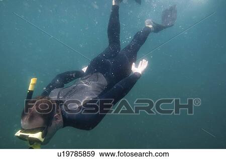 Stock Photo - Free diver. Fotosearch