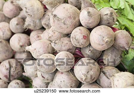 Stock Image - Fresh beetroots. Fotosearch
