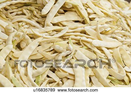 Fresh green beans View Large Photo Image Stock Photo - Fresh green beans. Fotosearch