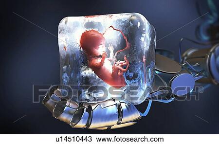 Frozen foetus, conceptual illustration View Large Photo Image Stock Image - Frozen foetus, conceptual illustration. Fotosearch