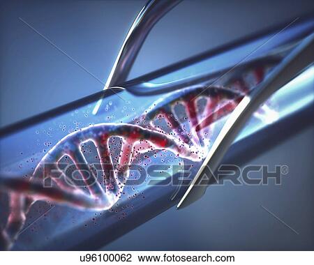 Stock Image - Genetic engineering, conceptual computer illustration.. Fotosearch