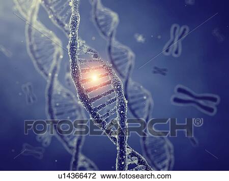 Stock Image - Genetic mutation, conceptual illustration. Fotosearch