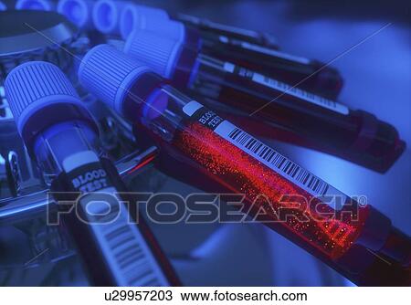 Genetic research, conceptual computer illustration. View Large Photo Image Stock Image - Genetic research, conceptual computer illustration.. Fotosearch