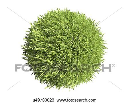 Green grass sphere, illustration View Large Photo Image Stock Image - Green grass sphere, illustration. Fotosearch