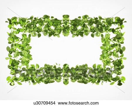 Picture - Green leaf frame, illustration. Fotosearch