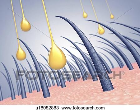 Hair strengthening treatment, conceptual illustration View Large Photo Image Stock Image - Hair strengthening treatment, conceptual illustration. Fotosearch