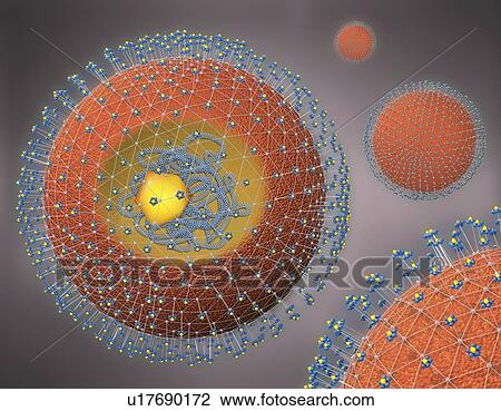 Stock Image - Hepatitis virus, illustration. Fotosearch