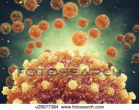 Hepatitis viruses, illustration View Large Photo Image Picture - Hepatitis viruses, illustration. Fotosearch