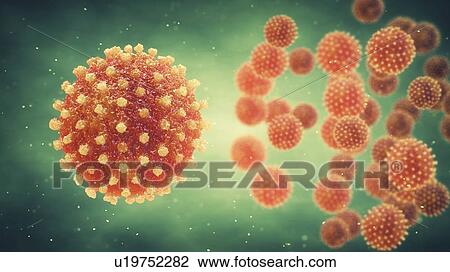 Hepatitis viruses, illustration View Large Photo Image Stock Image - Hepatitis viruses, illustration. Fotosearch