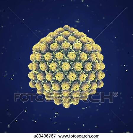 Herpes virus, illustration View Large Photo Image Stock Photo - Herpes virus, illustration. Fotosearch