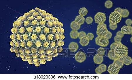 Herpes viruses, illustration View Large Photo Image Stock Photograph - Herpes viruses, illustration. Fotosearch