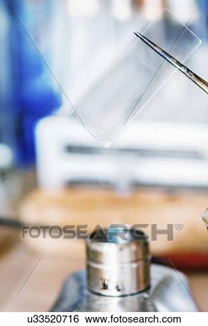 Stock Photograph - Holding microscope slide over flame. Fotosearch