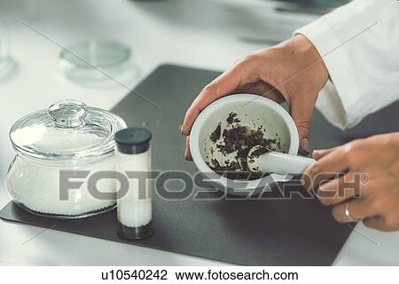 Homeopath preparing herbal remedies View Large Photo Image Stock Image - Homeopath preparing herbal remedies. Fotosearch