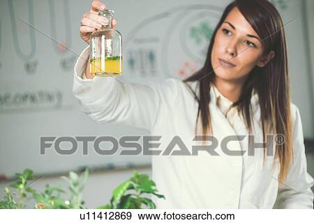 Homeopath preparing herbal remedies View Large Photo Image Stock Photo - Homeopath preparing herbal remedies. Fotosearch