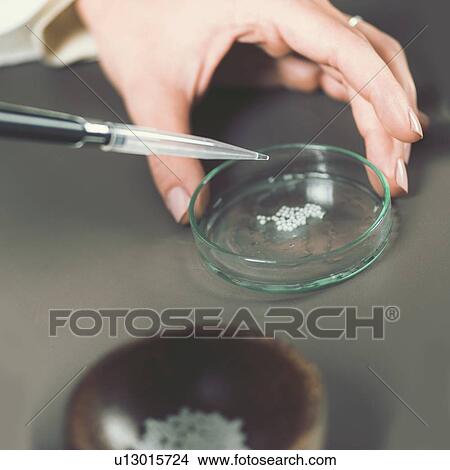 Picture - Homeopathic remedy preparation. Fotosearch
