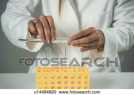 Homeopathic remedy preparation View Large Photo Image Stock Image - Homeopathic remedy preparation. Fotosearch