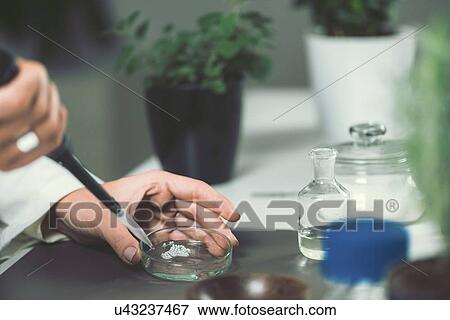 Stock Photo - Homeopathic remedy preparation. Fotosearch
