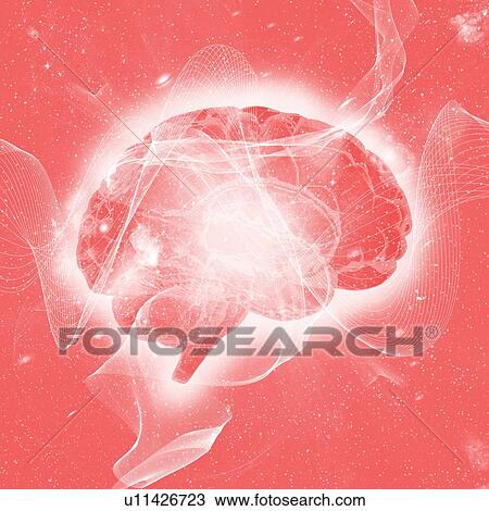 Stock Image - Human brain, illustration.. Fotosearch