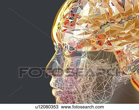 Stock Image - Human brain, illustration. Fotosearch