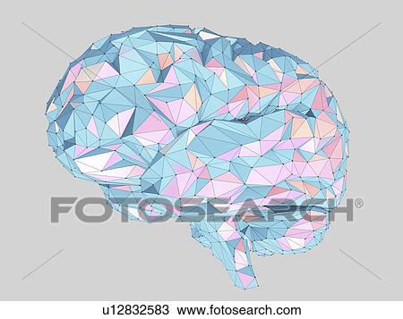 Human brain, illustration View Large Photo Image Stock Image - Human brain, illustration. Fotosearch