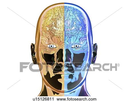 Human brain, illustration View Large Photo Image Stock Image - Human brain, illustration. Fotosearch
