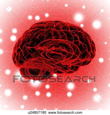 Stock Image - Human brain, illustration.. Fotosearch