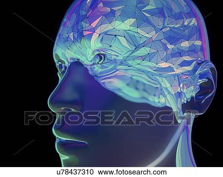Stock Image - Human brain, illustration. Fotosearch