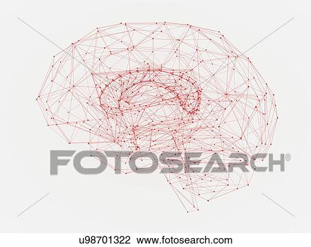 Stock Image - Human brain, illustration. Fotosearch