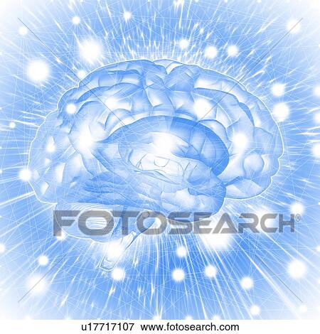 Stock Photo - Human brain, illustration.. Fotosearch