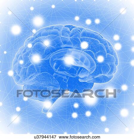 Human brain, illustration. View Large Photo Image Stock Photo - Human brain, illustration.. Fotosearch