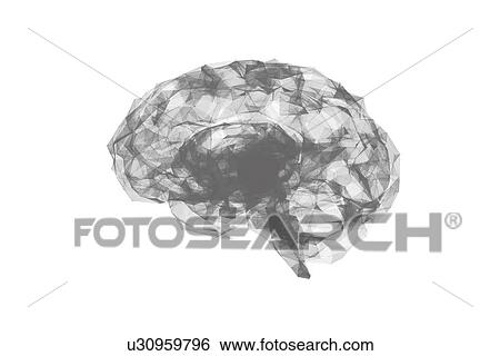 Stock Photograph - Human brain, illustration. Fotosearch