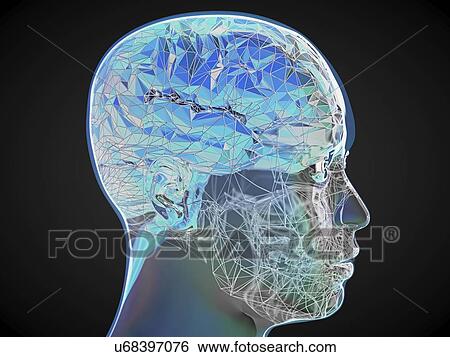 Human brain, illustration View Large Photo Image Stock Photograph - Human brain, illustration. Fotosearch