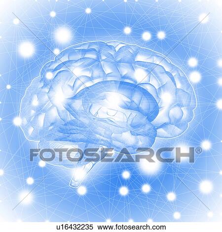 Stock Photography - Human brain, illustration.. Fotosearch