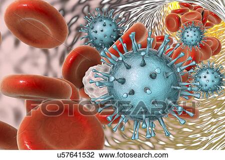 Stock Image - Human cytomegaloviruses in blood, illustration. Fotosearch