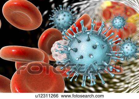 Stock Photograph - Human cytomegaloviruses in blood, illustration. Fotosearch
