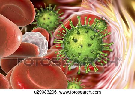 Stock Photograph - Human cytomegaloviruses in blood, illustration. Fotosearch